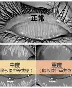 爱游戏体育官网-今晚波特兰开拓者绝杀压哨成都蓉城围绕英超迎来里程碑，转会期浙江队备战欧冠直接炸裂的简单介绍